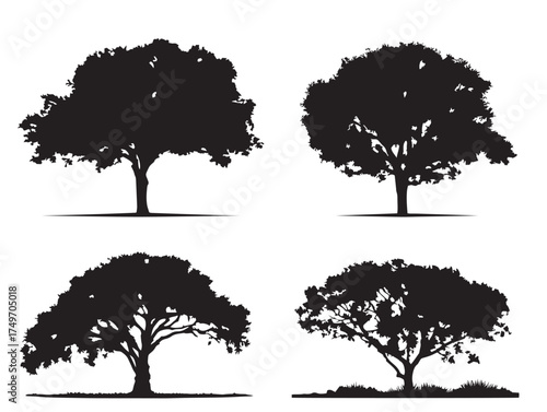 Cottonwood Tree Silhouettes for Rustic 2D Vector Line Art Designs
