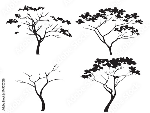 Delicate Dogwood Tree Outline for Botanical 2D Vector Line Art