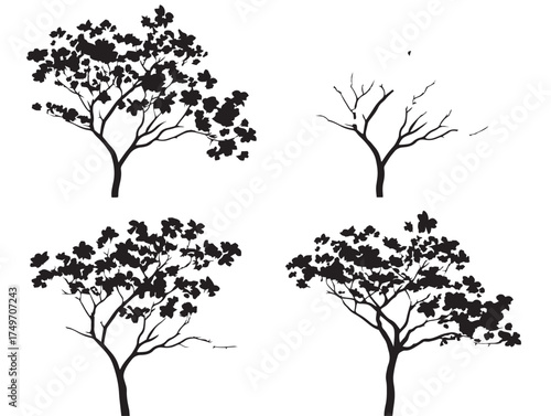 Elegant Dogwood Tree Silhouettes in Clean 2D Vector Line Art