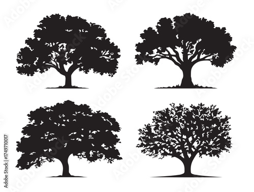Ancestral Family Tree Concept Shown in Minimal 2D Vector Line Art