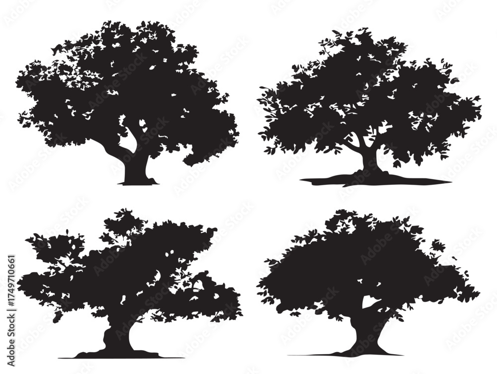 Fototapeta premium Fig Tree Silhouette Artwork for Elegant 2D Vector Line Art Projects