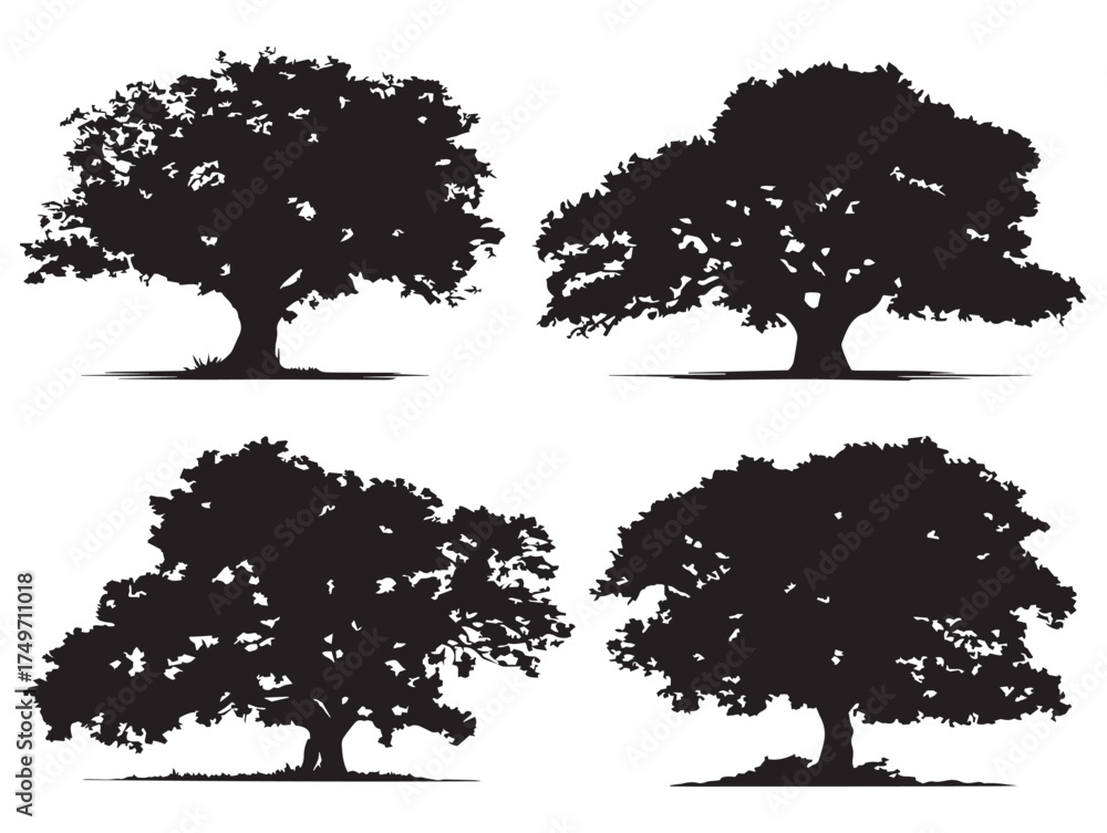 Fototapeta premium Tropical Fig Tree Silhouette Illustration with Refined 2D Vector Line Art