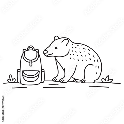 A wombat close to a backpack placed on a hiking path