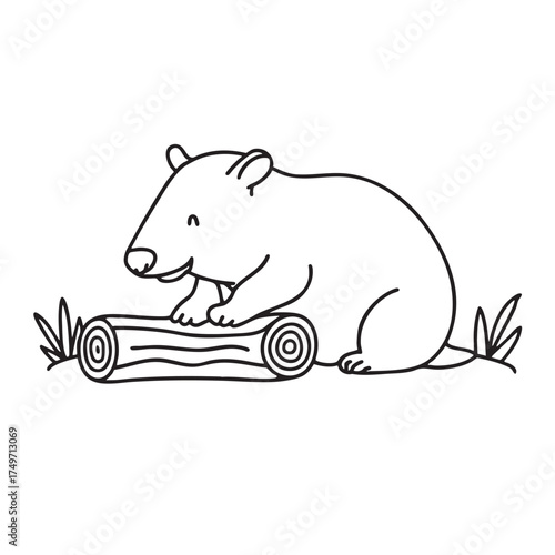 A wombat near a log resting on reddish soil