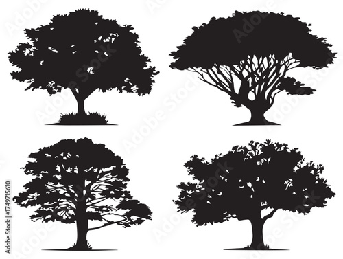 Ancient Hollow Tree Illustration Depicted in Unique 2D Vector Line Art