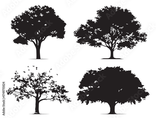Durable Ironwood Tree Illustration Displayed in Elegant 2D Vector Line Art