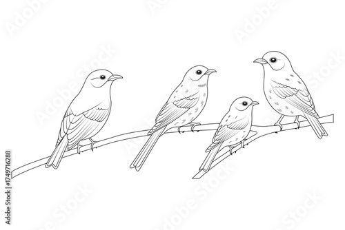 Four Small Birds Perched on a Thin Branch Together