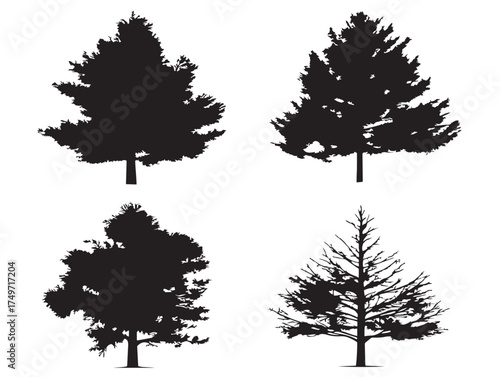 Elegant Larch Tree Artwork Illustrated in Minimal 2D Vector Line Art