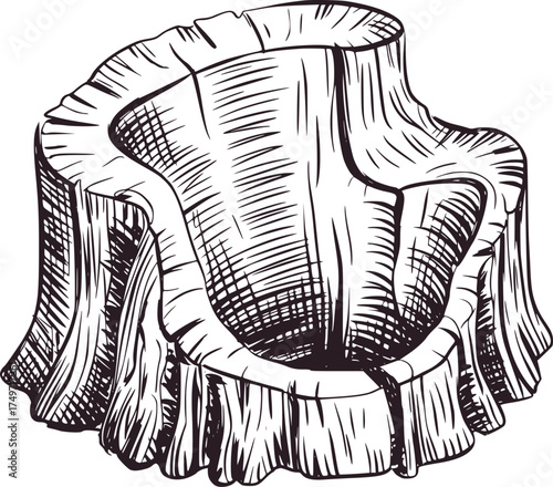 Black and white sketch of a rough wooden tree stump illustration