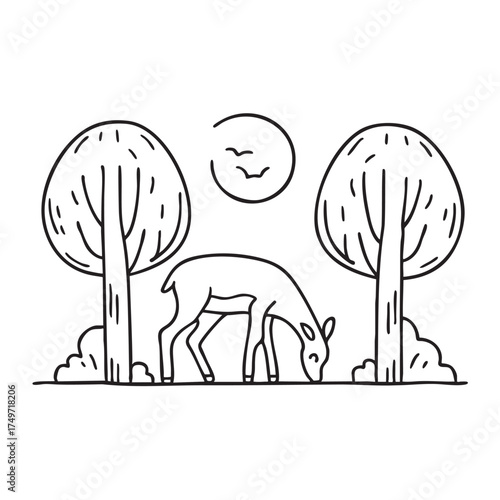 Woods near a deer grazing quietly