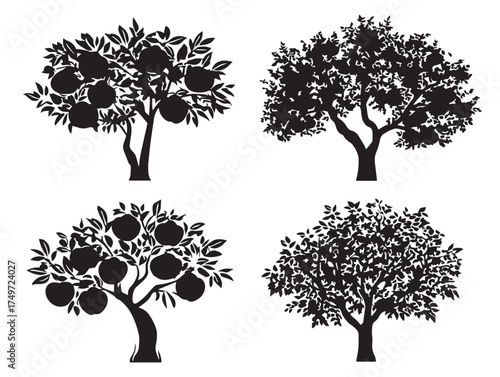 Peach Tree Silhouette with Blossoming Petals 2D Vector Line Art