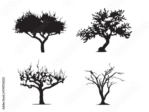 Elegant Peach Tree Silhouette Inspired by Spring 2D Vector Line Art