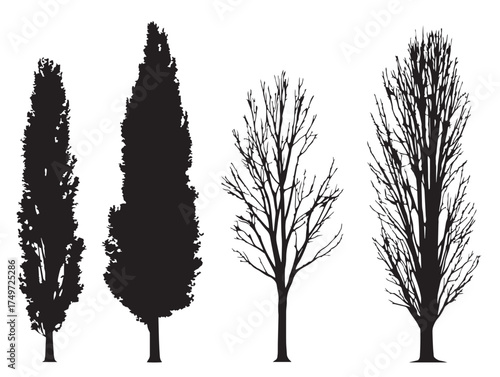 Scenic Poplar Tree Silhouette for Landscape Design 2D Vector Line Art