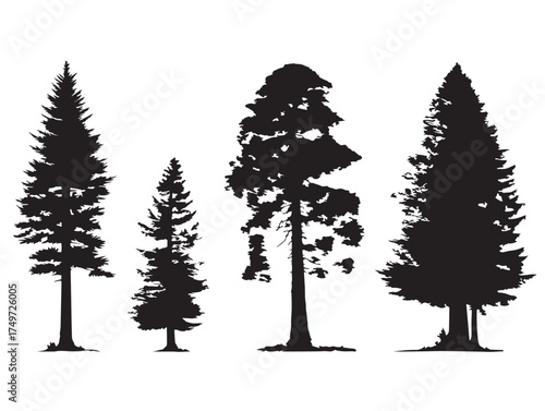 Sequoia Tree Silhouette Towering Ancient Forest 2D Vector Line Art