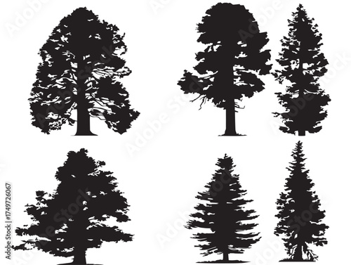 Timeless Sequoia Tree Silhouette for Outdoor Theme 2D Vector Line Art