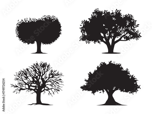 Enlightened Spiritual Tree Silhouette with Graceful Lines 2D Vector Line Art