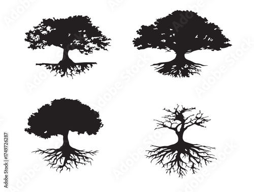 Elegant spreading roots tree silhouette modern vector line drawing