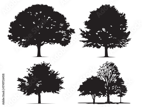 Sycamore tree silhouette set minimalist vector line art illustration