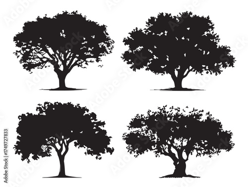 Tree of Dreams Silhouette Four Variations Beautiful 2D Vector Line Art