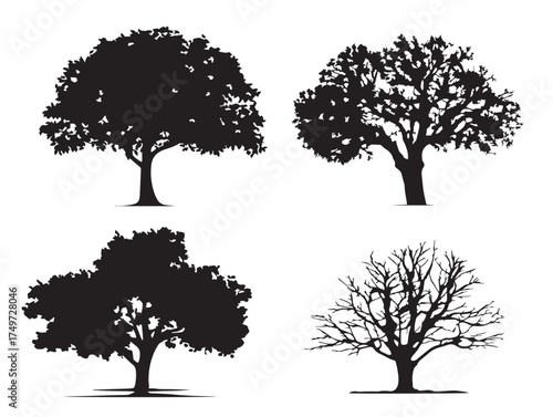 Tree of Dreams Artistic Silhouette Set Modern 2D Vector Illustration