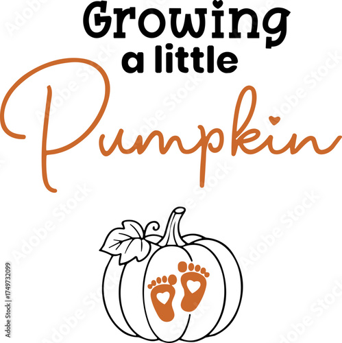 Growing A Little Pumpkin
