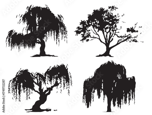 Graceful Willow Tree Silhouette 2D Vector Line Art