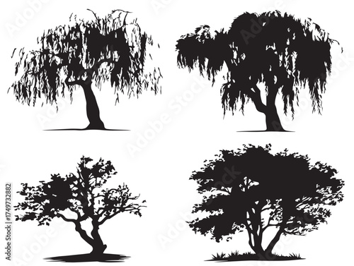 Willow Tree Creative 2D Vector Line Art Design Set