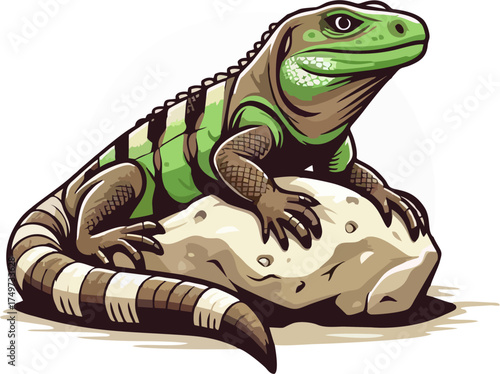 Cartoon Iguana Vector Illustration on Rock – Green and Brown Spiked Lizard with Striped Tail