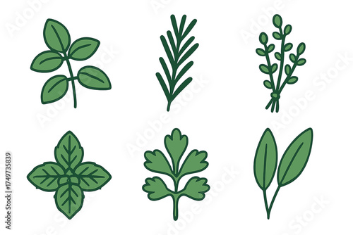 Six stylized green culinary herb leaves and sprigs for cooking