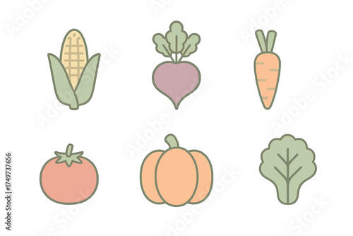 Six colorful stylized icons of common vegetables including corn, beet, carrot, tomato, pumpkin, and lettuce