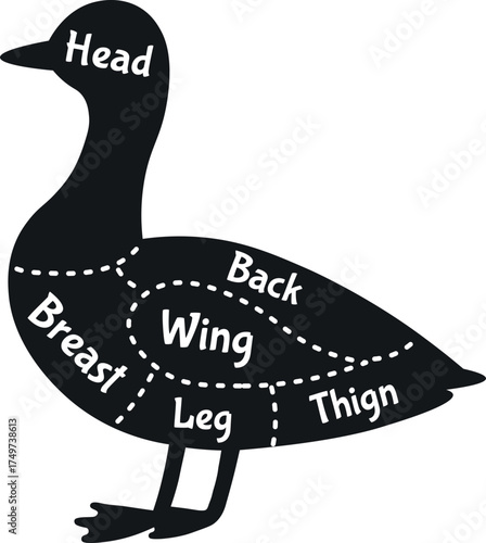 Duck meat cuts butcher chart diagramming poultry parts