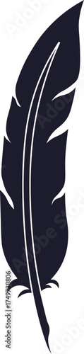 Quill feather pen writing literature knowledge icon