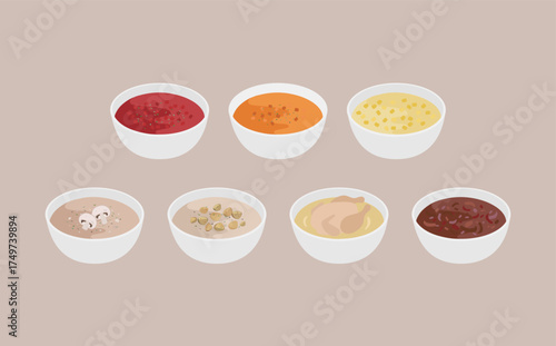 Western Soup Recipes – Restaurant-Style Soup Illustration Set