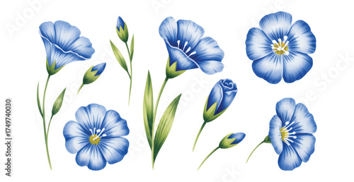 A set of watercolor blue flax flowers, buds, and green stems illustration. Vibrant floral botanical element collection
