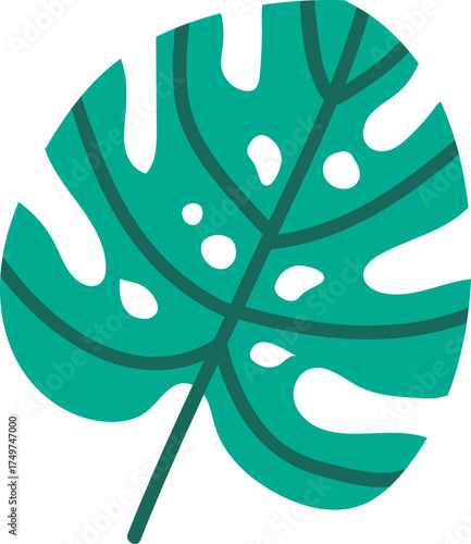 Monstera deliciosa tropical leaf illustration on white