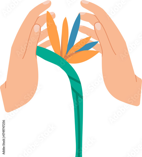 Hands caring for bird of paradise flower illustration