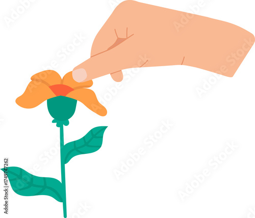 Hand gently touching petal of orange flower