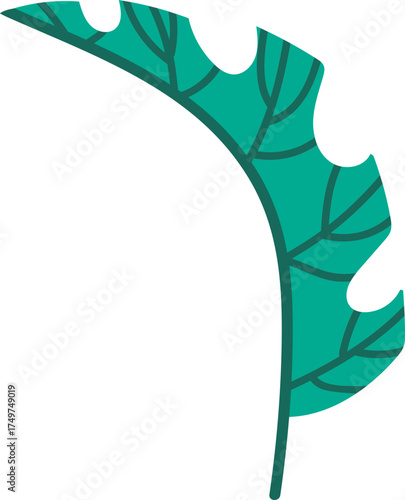 Green tropical monstera leaf vector illustration design