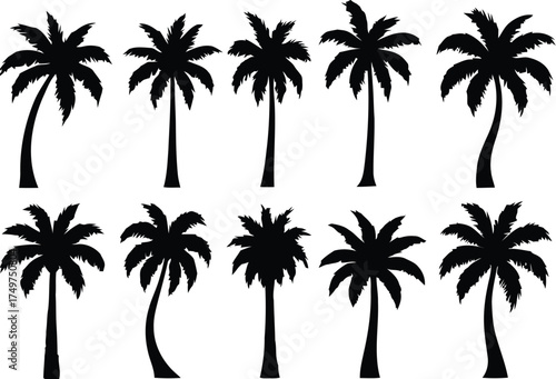 palm tree, silhouette, tropical, tree, nature, island, beach, vacation, summer, travel, exotic, flora, plant, green, black, white, isolated, collection, variety, different, shape, trunk, leaves, folia