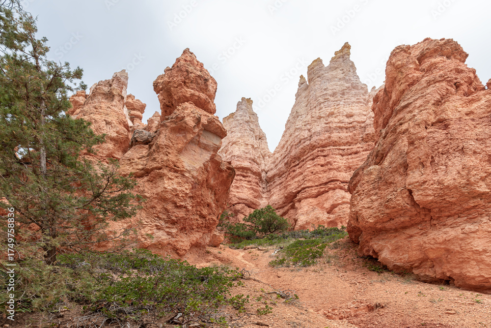 Fototapeta premium Hoodoo Rock Formation in Bryce Canyon National Park, Utah, USA