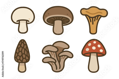 Six stylized edible and poisonous mushroom icons for nature or cooking themes