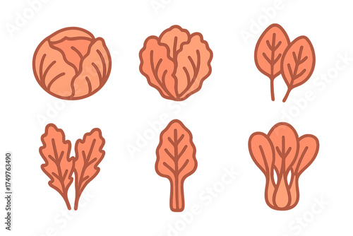 Stylized orange icons of leafy vegetables and cabbage heads