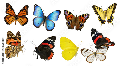 Collection of eight colorful butterflies isolated on transparent background