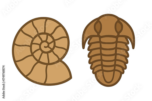 Ammonite and trilobite fossil icons in warm brown tones