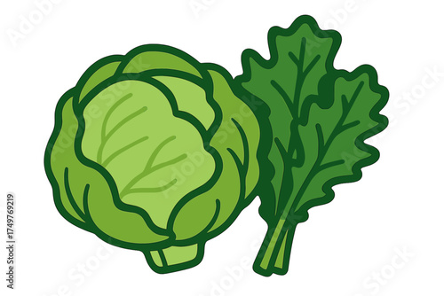 Round green cabbage and leafy greens vegetable icons set