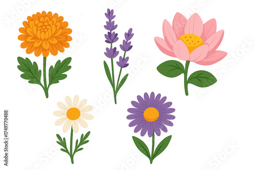 Five stylized blooming garden and wild flowers in vibrant colors