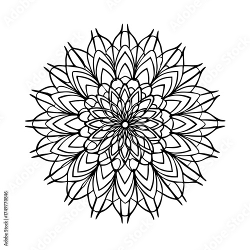 Detailed mandala illustration with intricate patterns