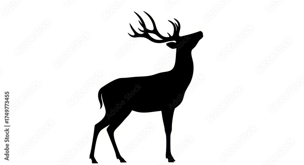 Obraz premium Majestic Stag Silhouette Looking Upwards With Antlers Raised Against White Background