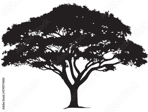 Elegant Ascension Tree Silhouette Artwork in Black and White 2D Vector Line Art