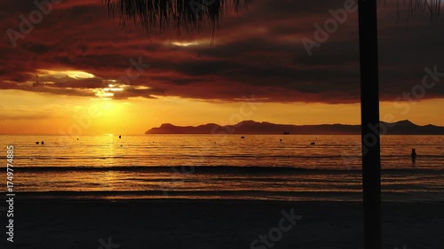 Sunset on the tropical seashore. Palm trees on the ocean shore. The perfect vacation.